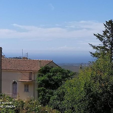 Duplex Avec Jardin, Proche Village Calenzana Buitenkant foto