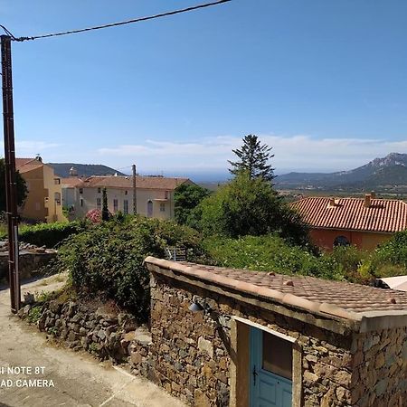 Duplex Avec Jardin, Proche Village Calenzana Buitenkant foto